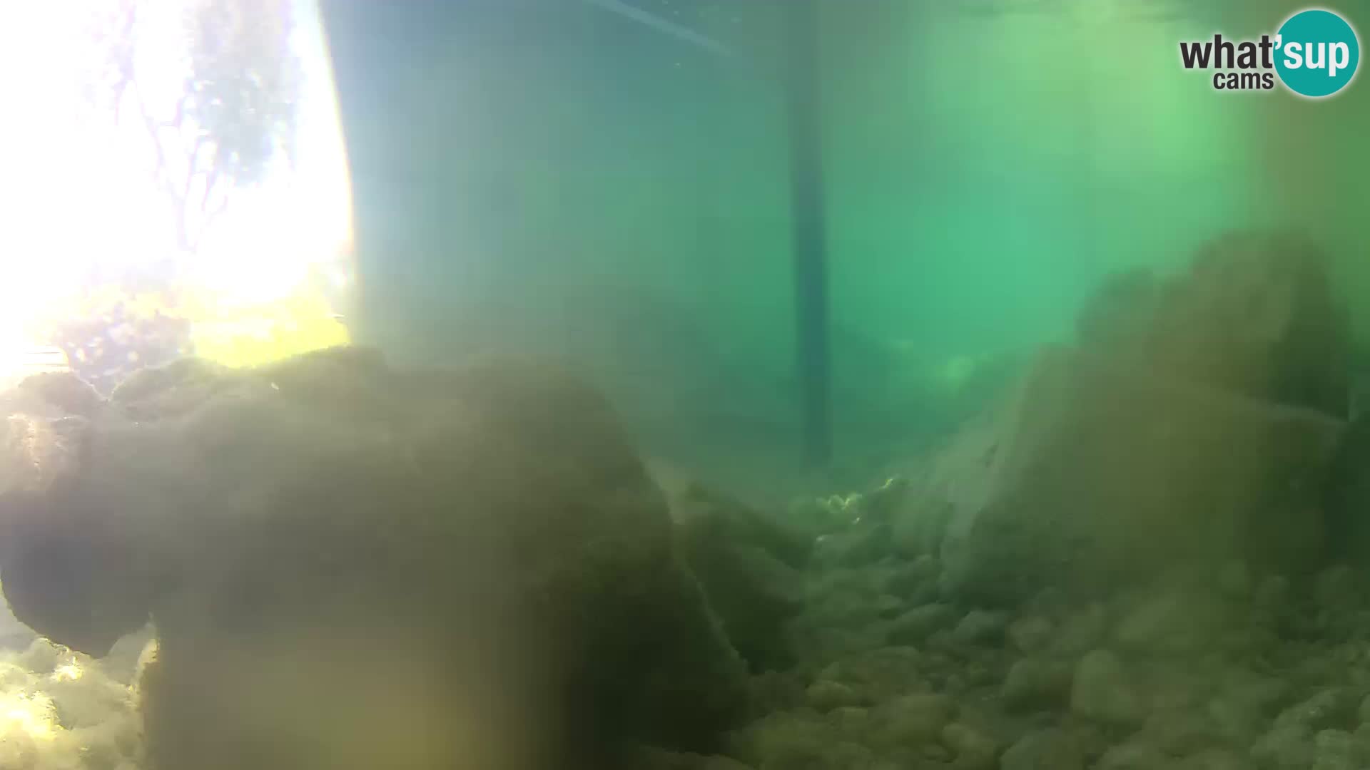 Marine Aquarium im Freien Rogoznica webcam Kroatien
