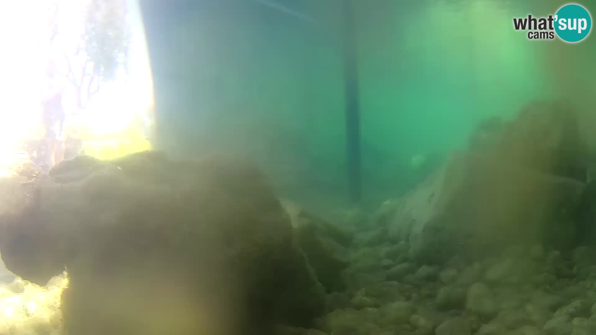 Outdoor Marine Aquarium Rogoznica webcam Croatia