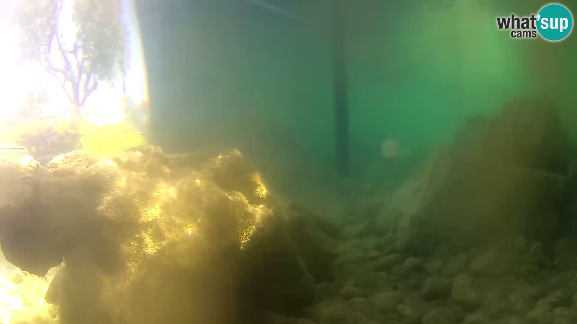 Outdoor Marine Aquarium Rogoznica webcam Croatia