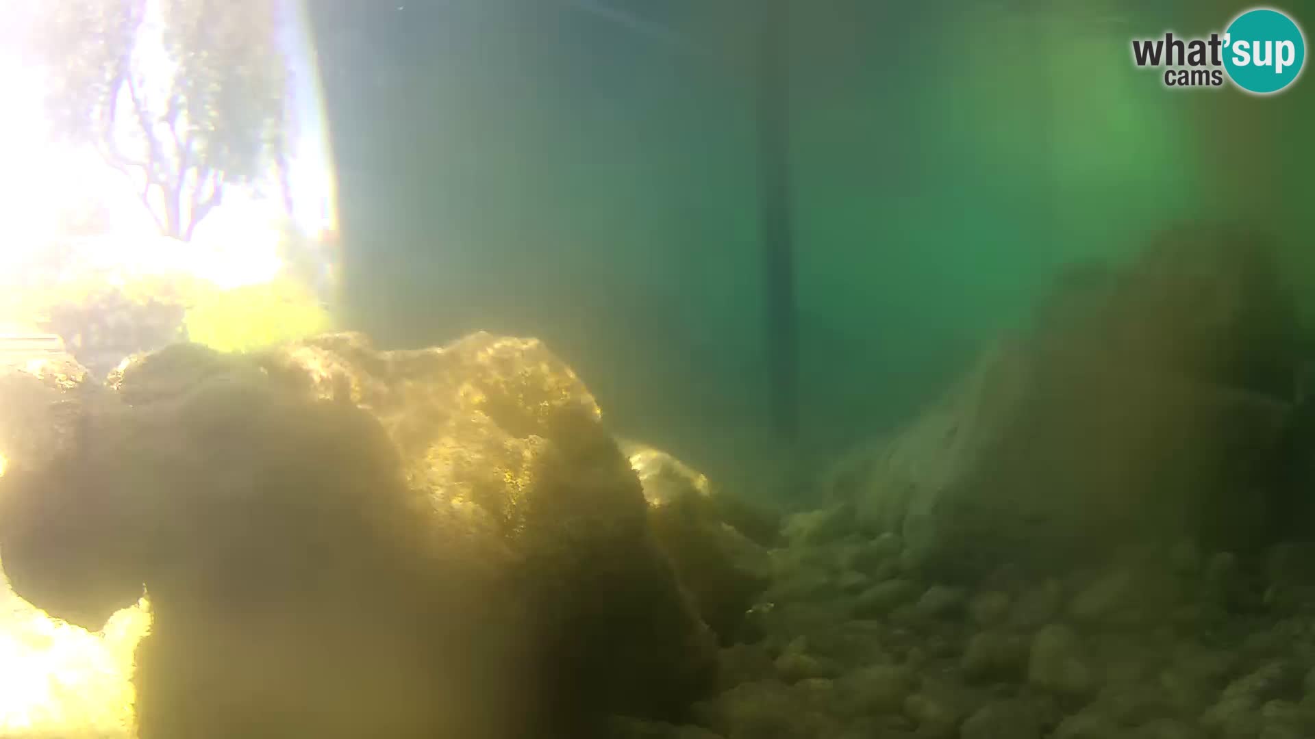 Acuario marino al aire libre Rogoznica webcam Croacia
