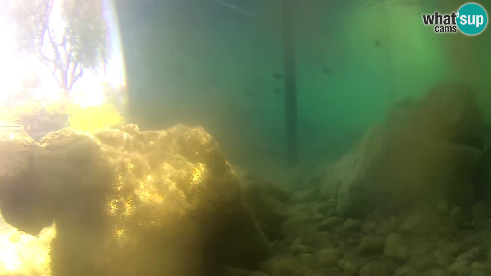 Acuario marino al aire libre Rogoznica webcam Croacia