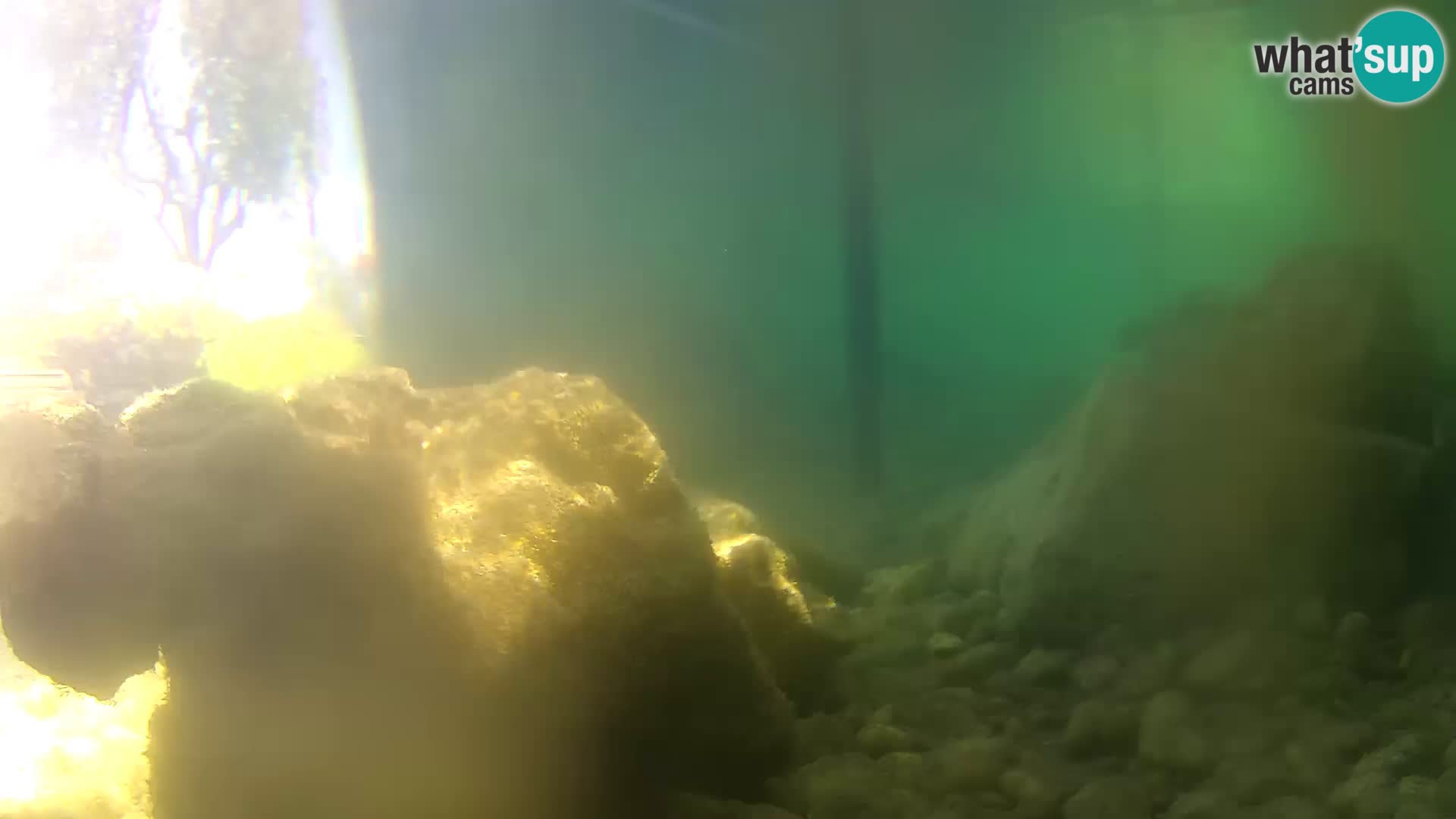 Webcam de l’aquarium marin extérieur de Rogoznica Croatie