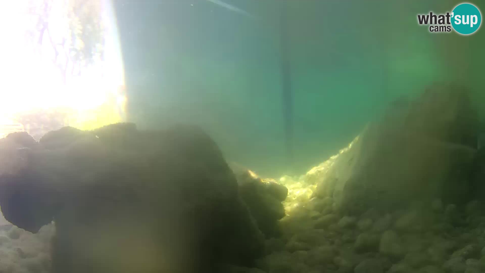 Acuario marino al aire libre Rogoznica webcam Croacia