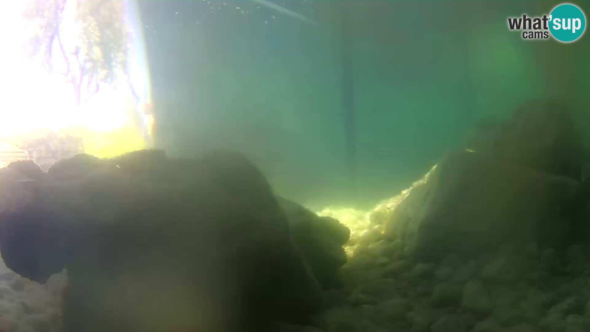 Acuario marino al aire libre Rogoznica webcam Croacia