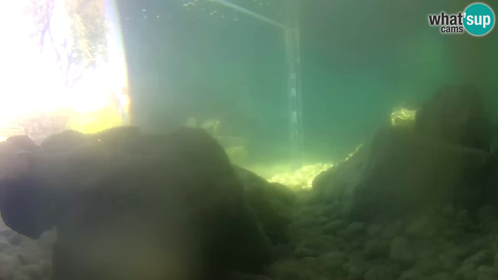 Outdoor Marine Aquarium Rogoznica webcam Croatia