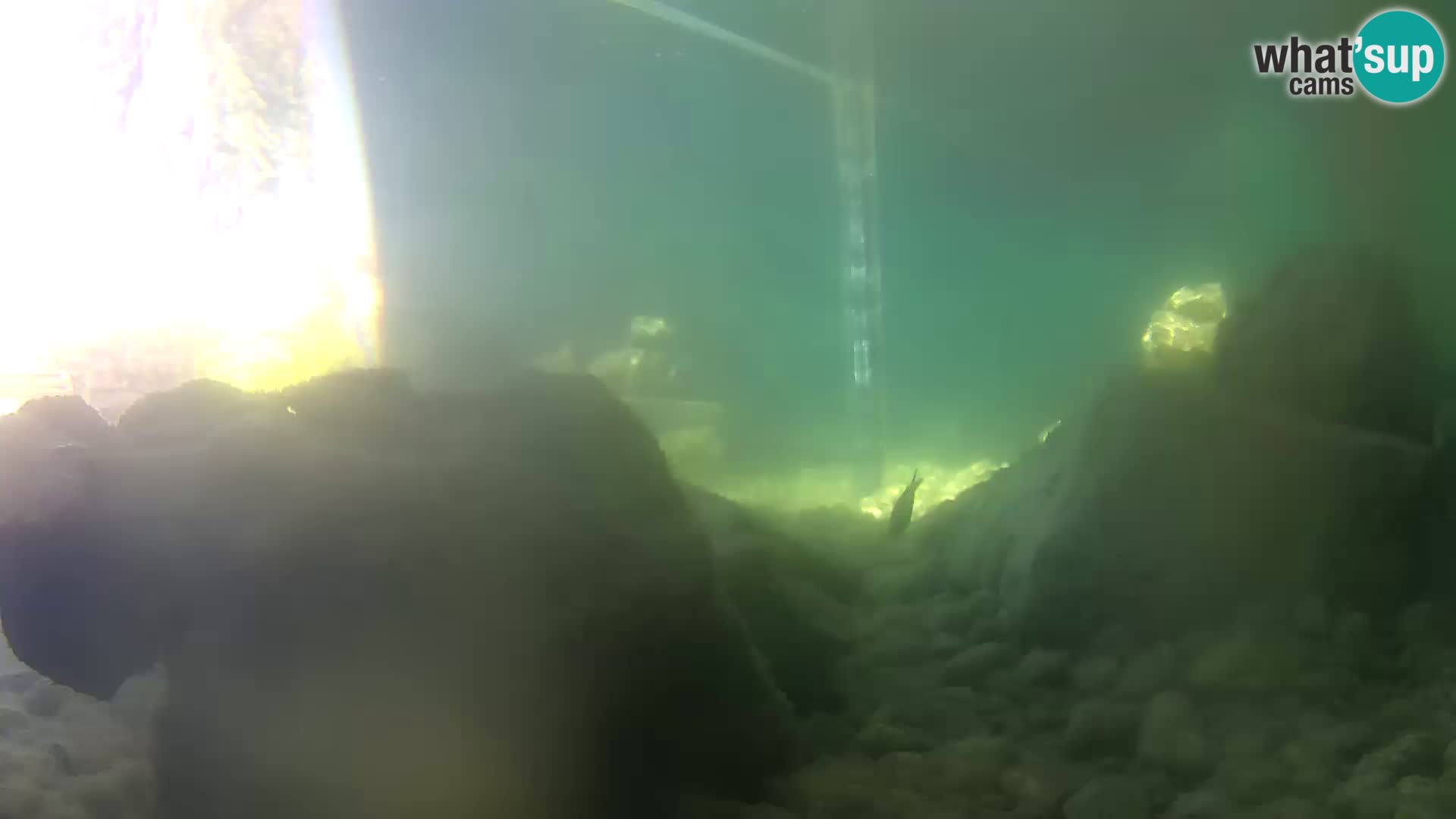 Outdoor Marine Aquarium Rogoznica webcam Croatia