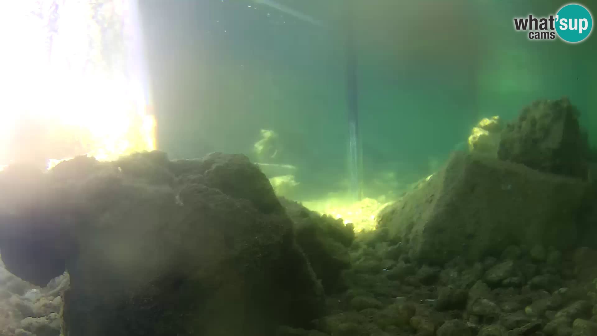Acuario marino al aire libre Rogoznica webcam Croacia