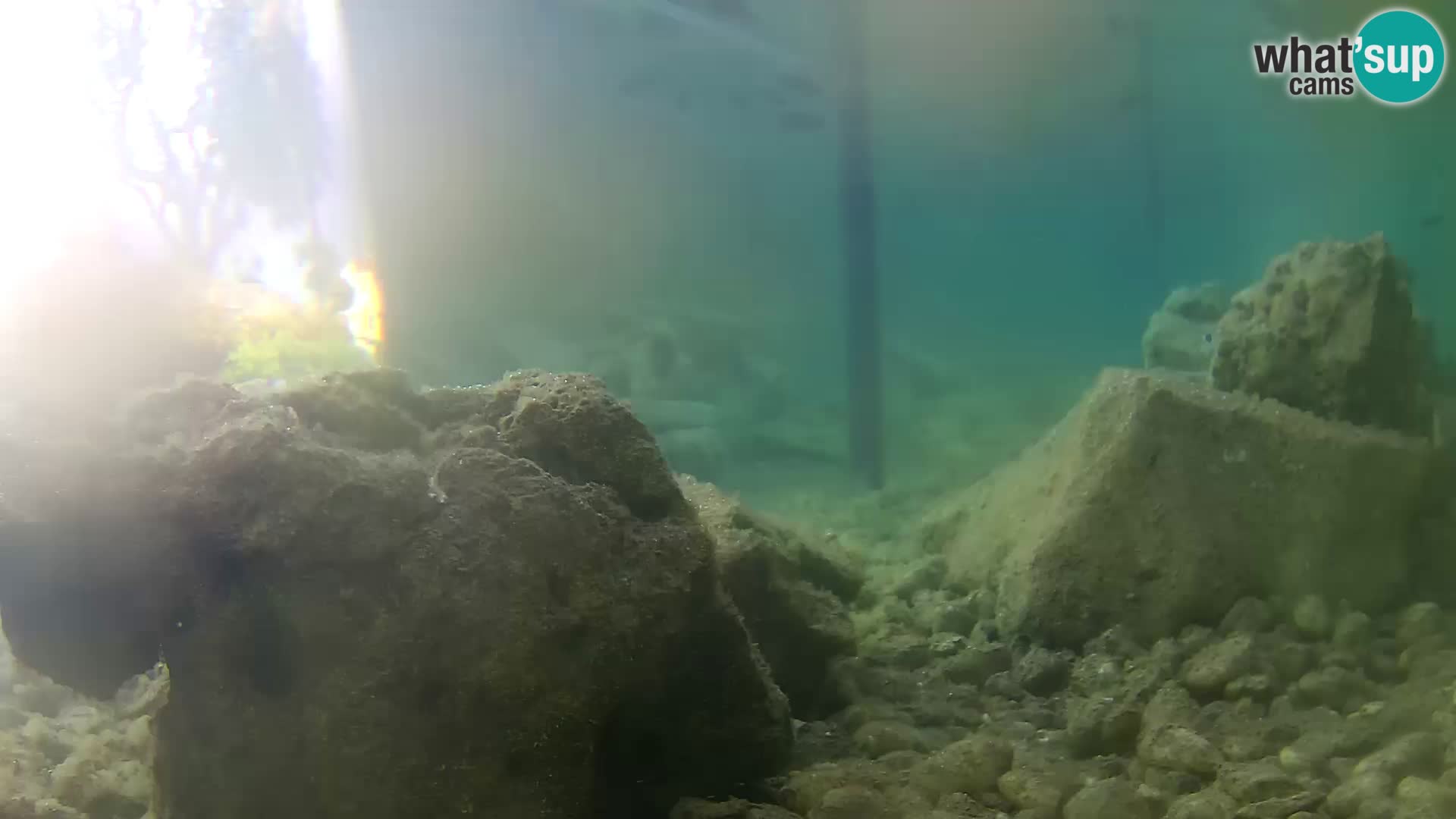 Webcam de l’aquarium marin extérieur de Rogoznica Croatie