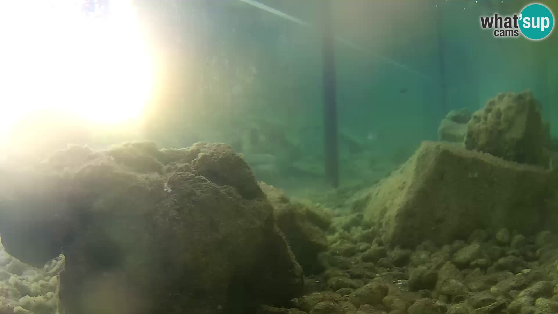 Marine Aquarium im Freien Rogoznica webcam Kroatien