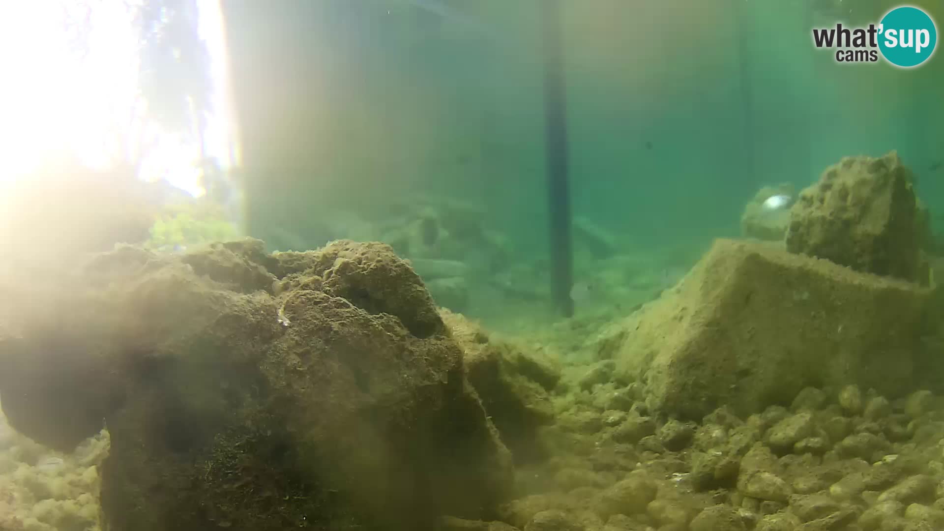 Webcam de l’aquarium marin extérieur de Rogoznica Croatie