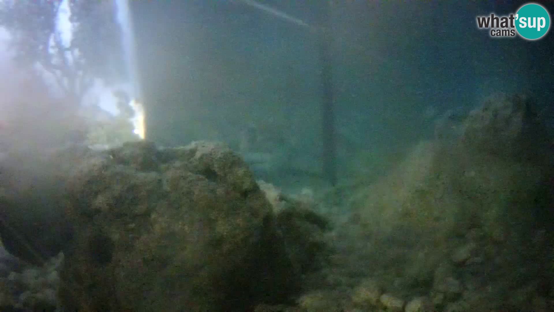 Aquario marino esterno –  Rogoznica livecam Croazia