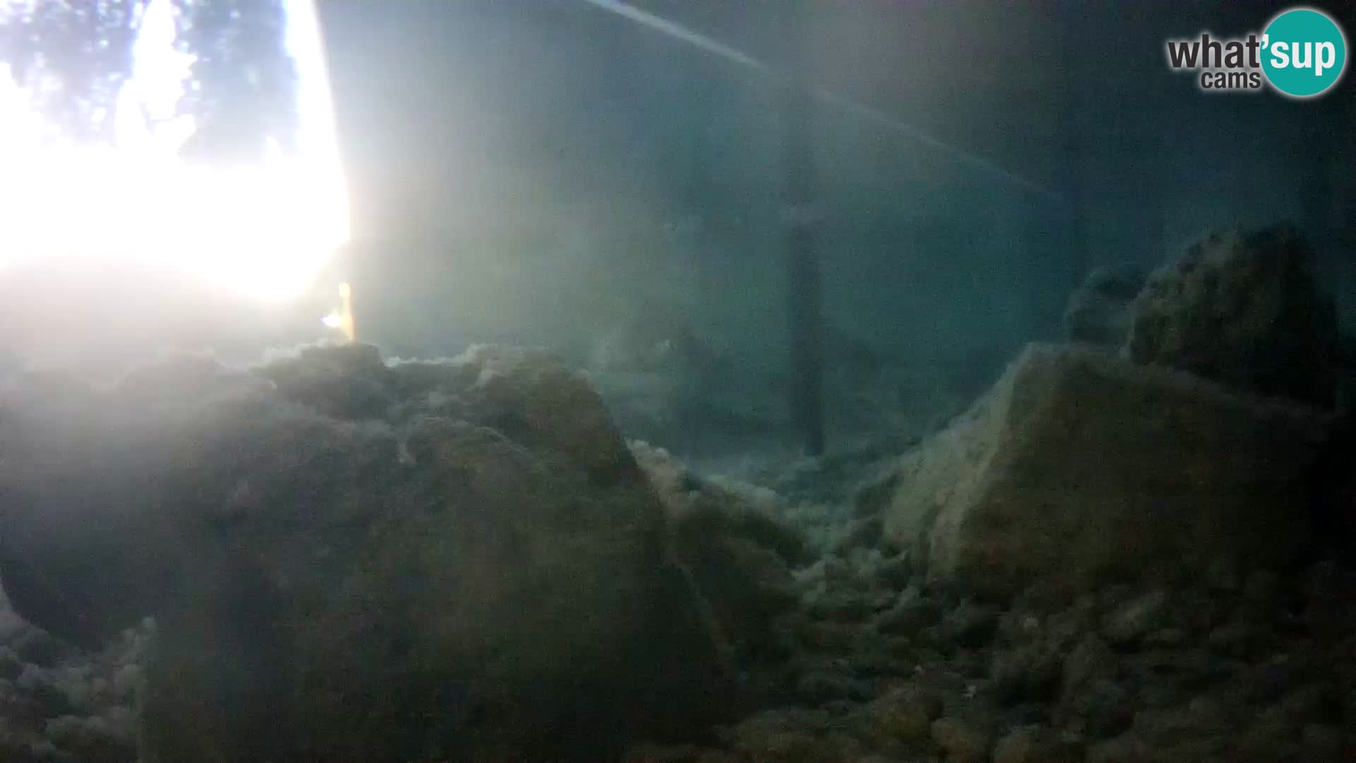 Aquario marino esterno –  Rogoznica livecam Croazia