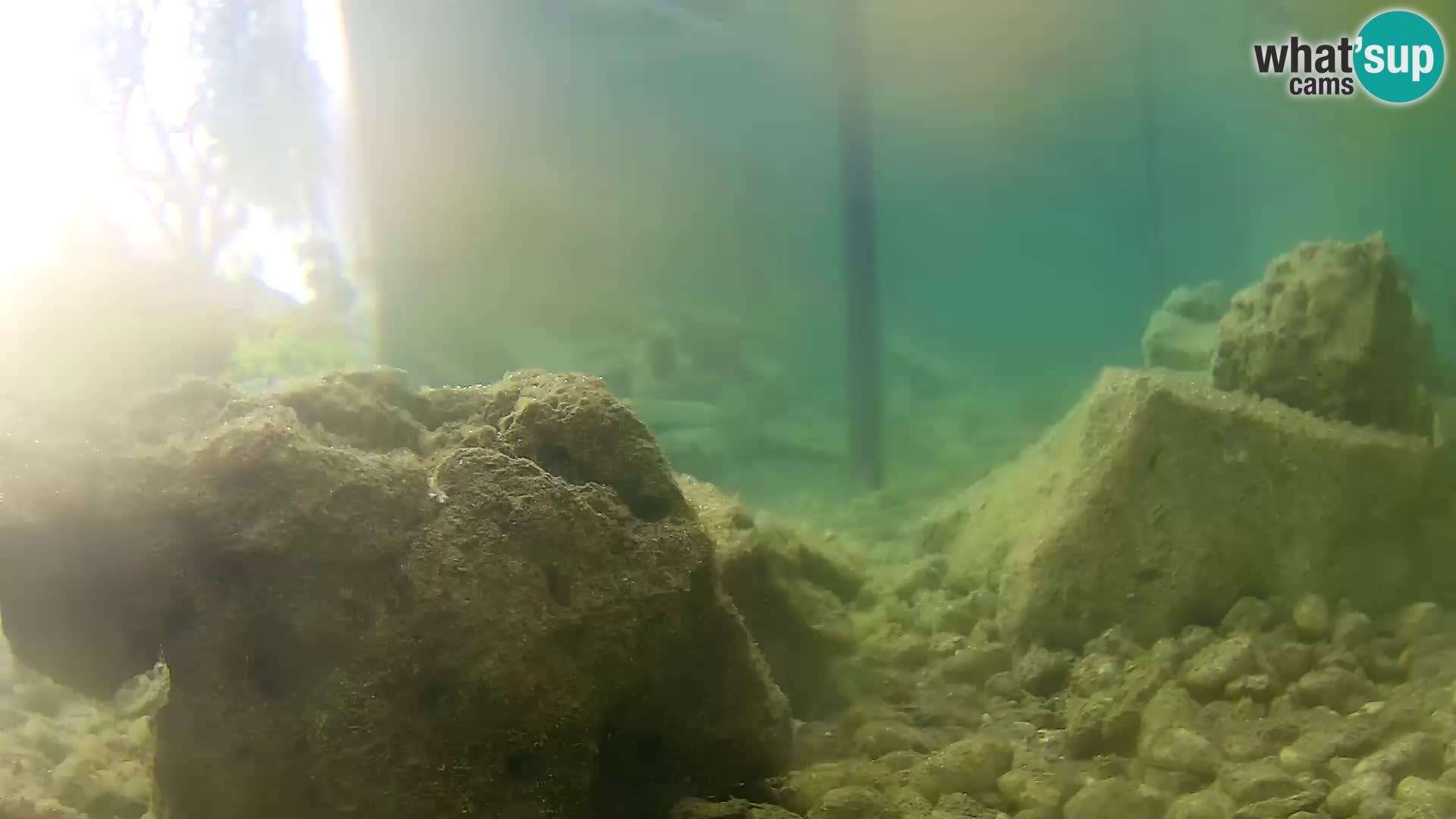 Webcam de l’aquarium marin extérieur de Rogoznica Croatie