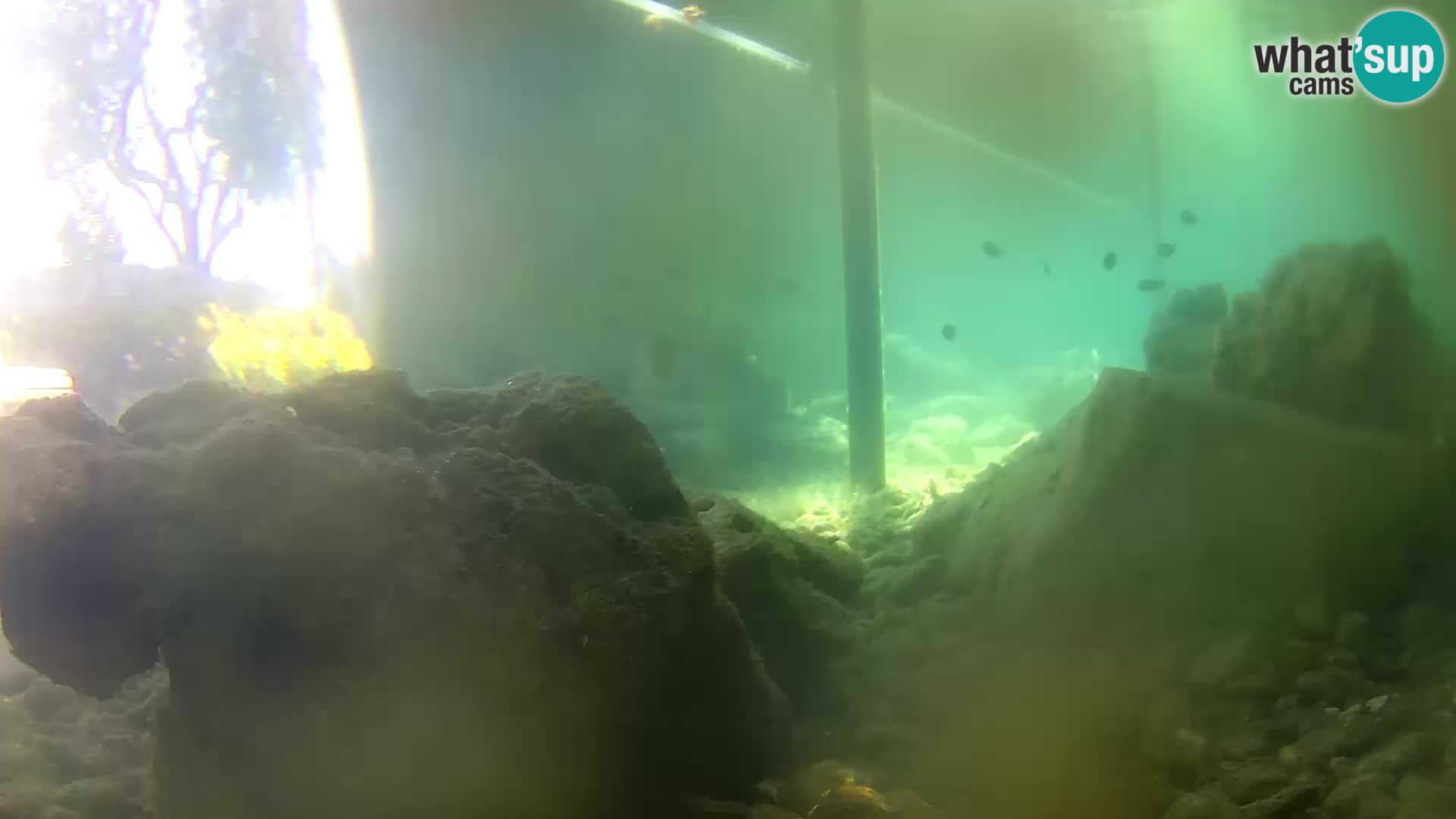 Marine Aquarium im Freien Rogoznica webcam Kroatien