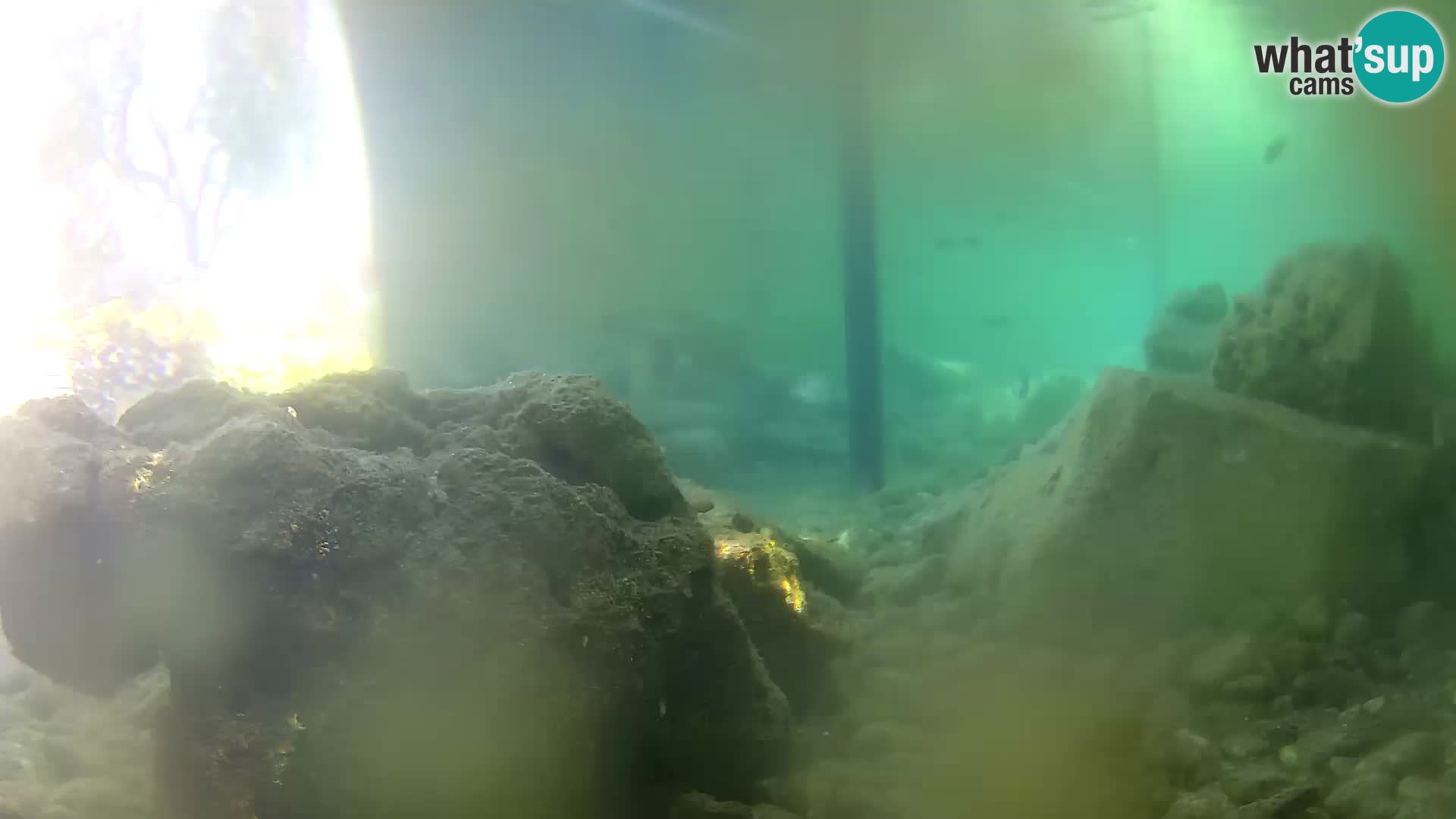 Webcam de l’aquarium marin extérieur de Rogoznica Croatie