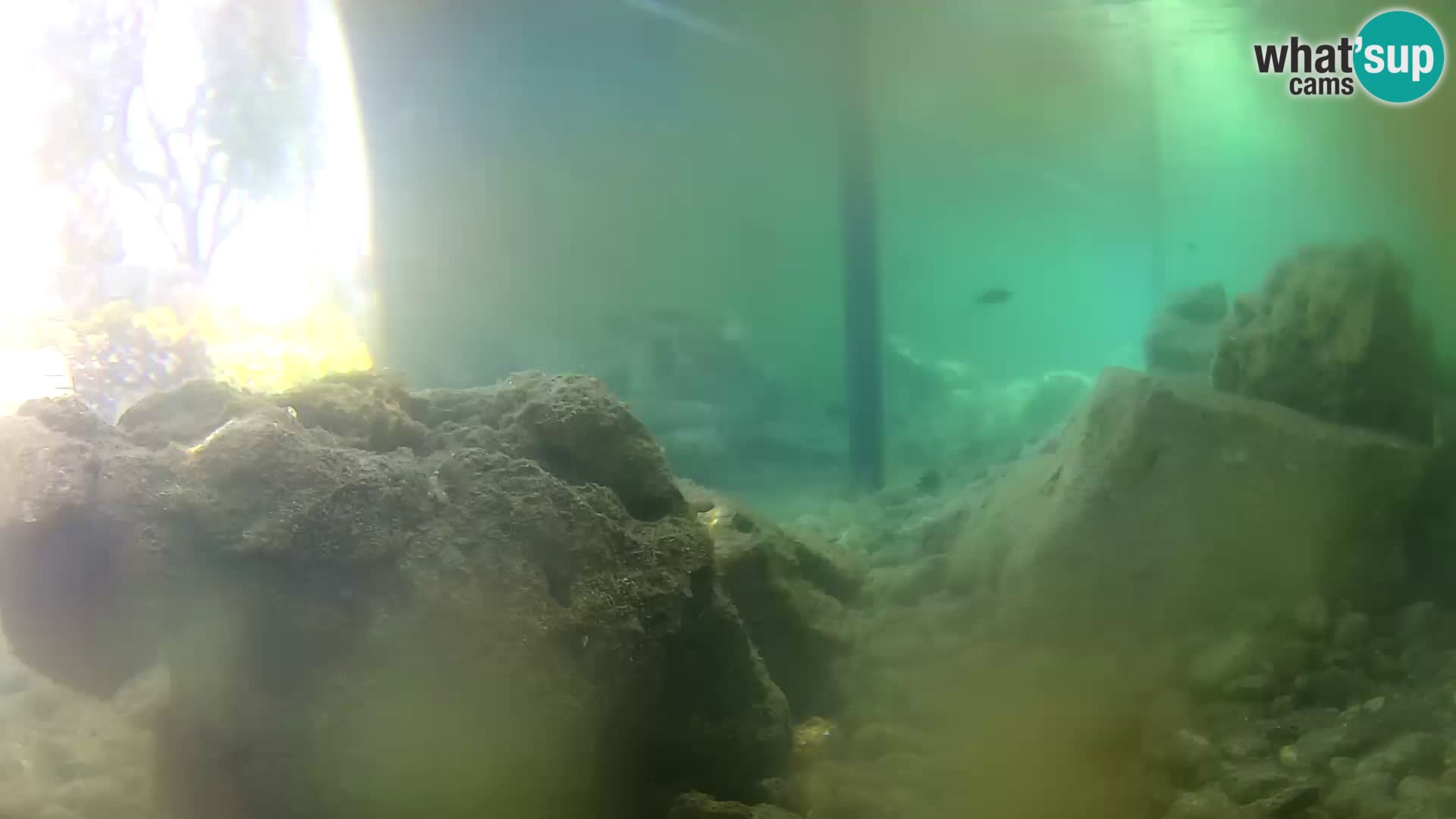Webcam de l’aquarium marin extérieur de Rogoznica Croatie