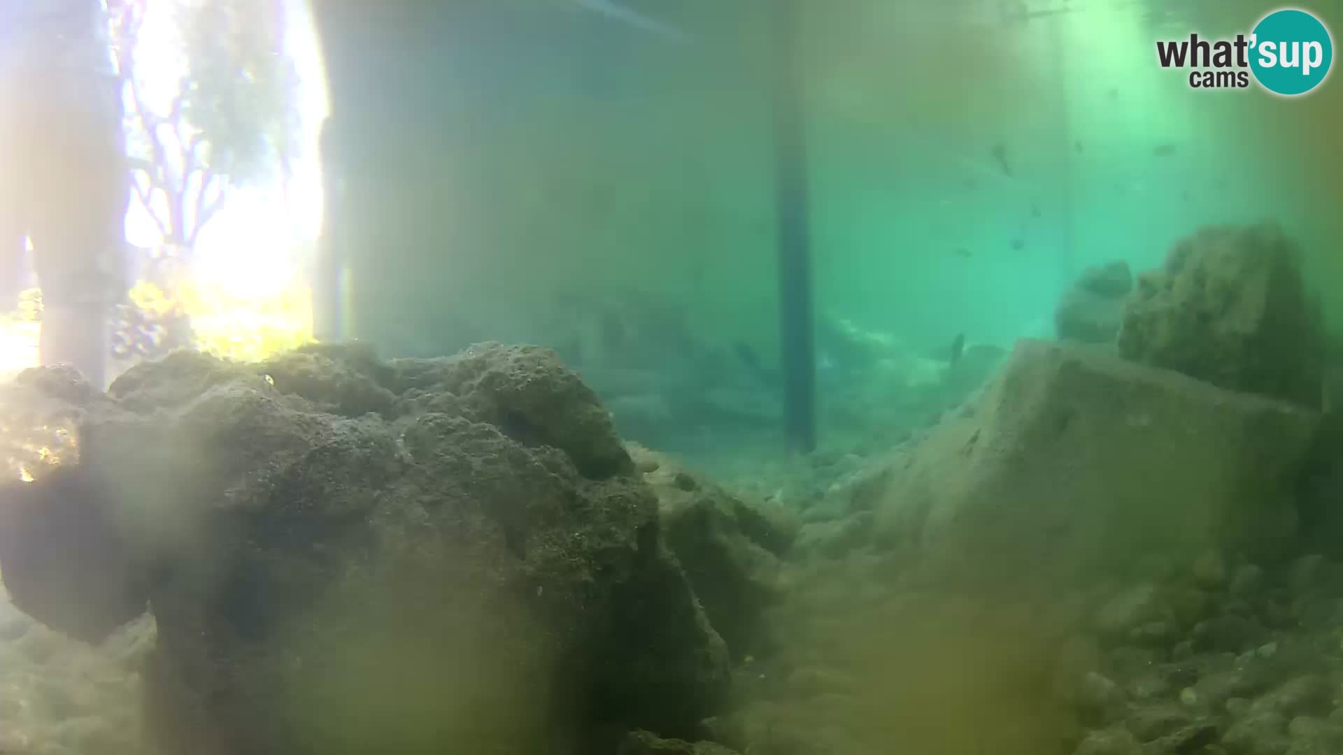 Webcam de l’aquarium marin extérieur de Rogoznica Croatie