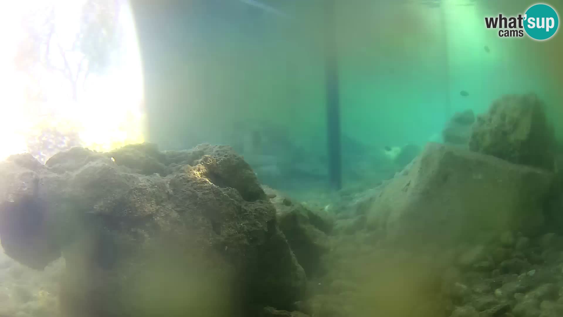 Outdoor Marine Aquarium Rogoznica webcam Croatia