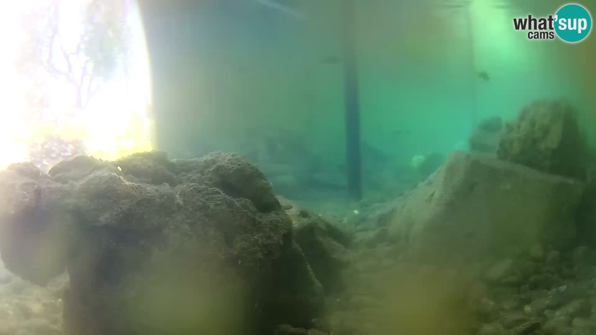 Outdoor Marine Aquarium Rogoznica webcam Croatia
