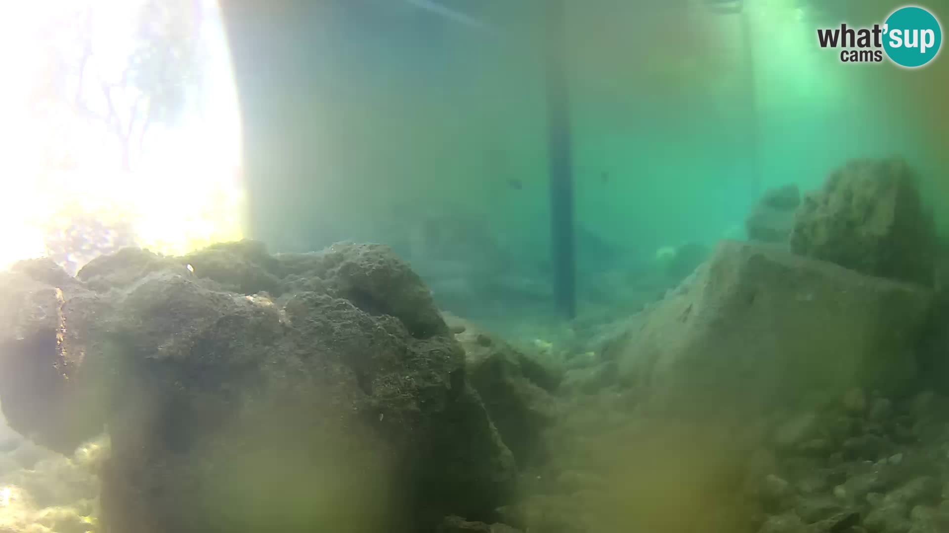 Outdoor Marine Aquarium Rogoznica webcam Croatia