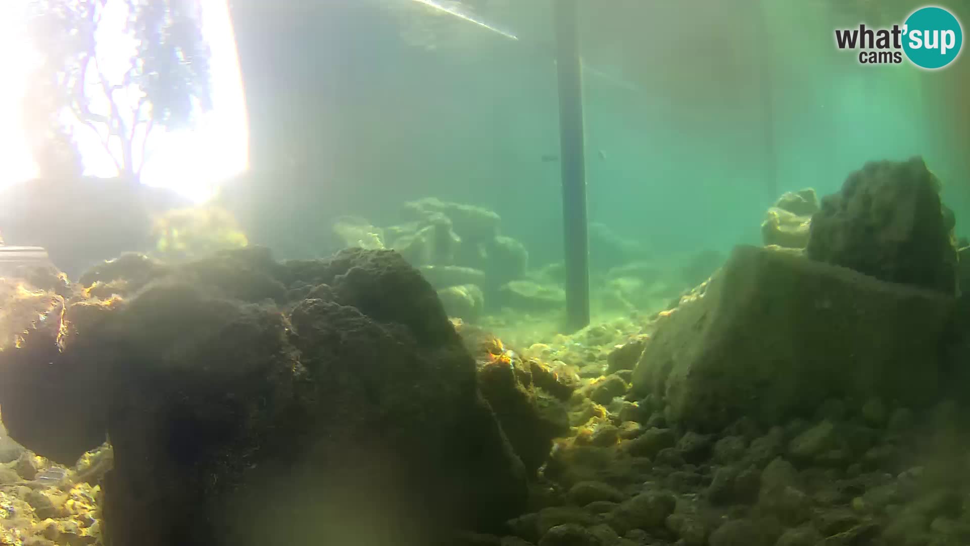 Outdoor Marine Aquarium Rogoznica webcam Croatia