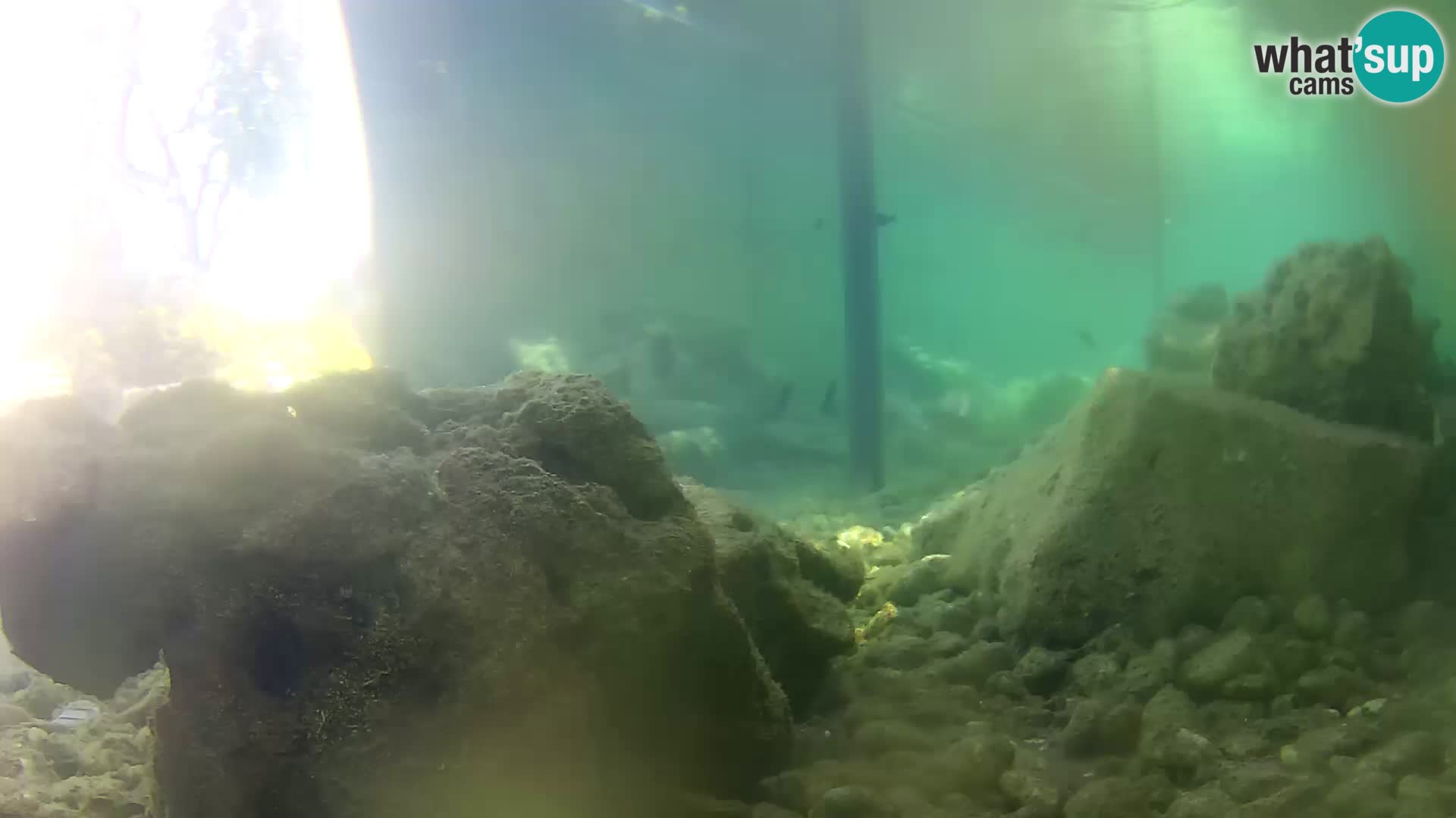 Marine Aquarium im Freien Rogoznica webcam Kroatien