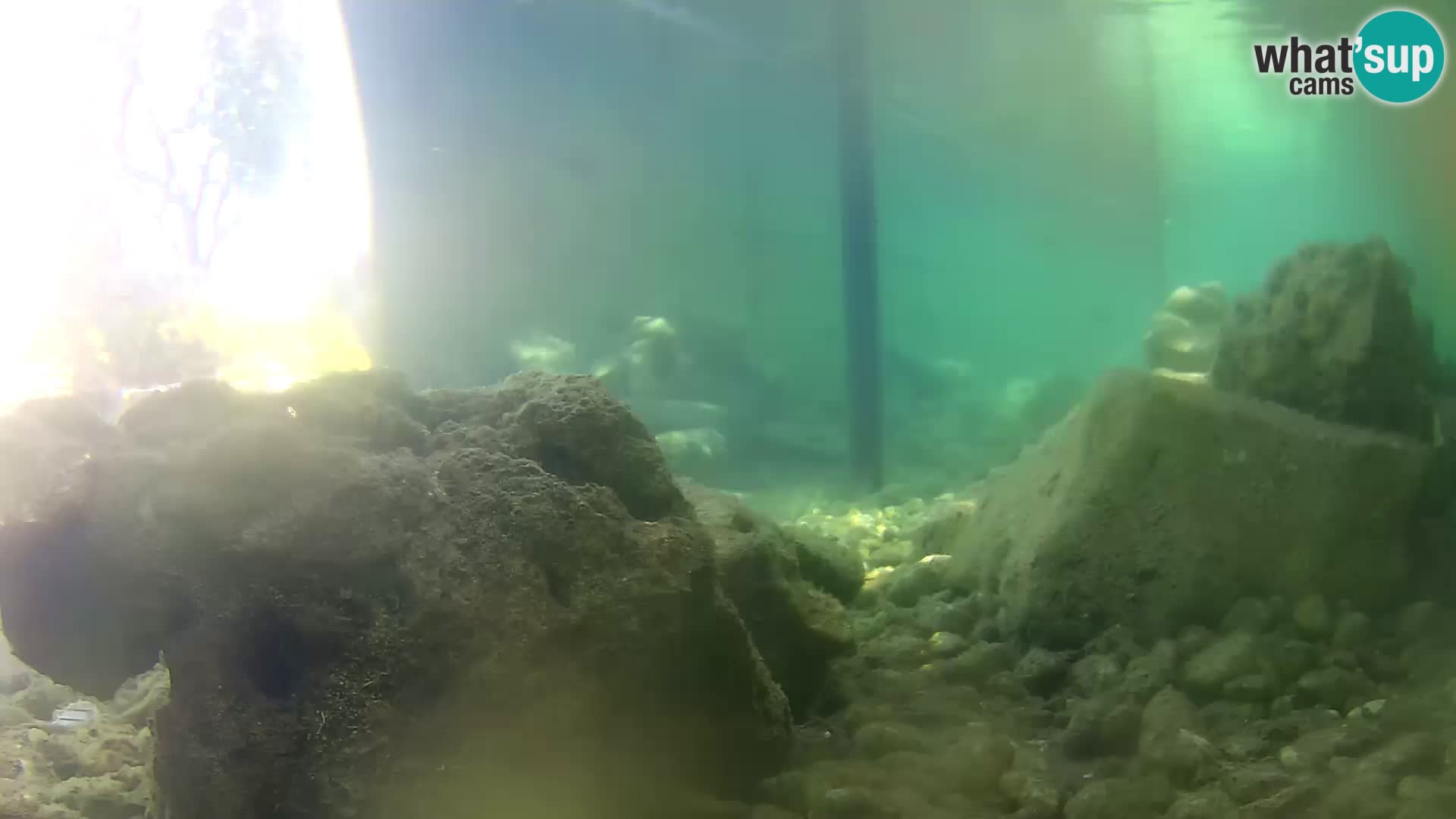 Marine Aquarium im Freien Rogoznica webcam Kroatien