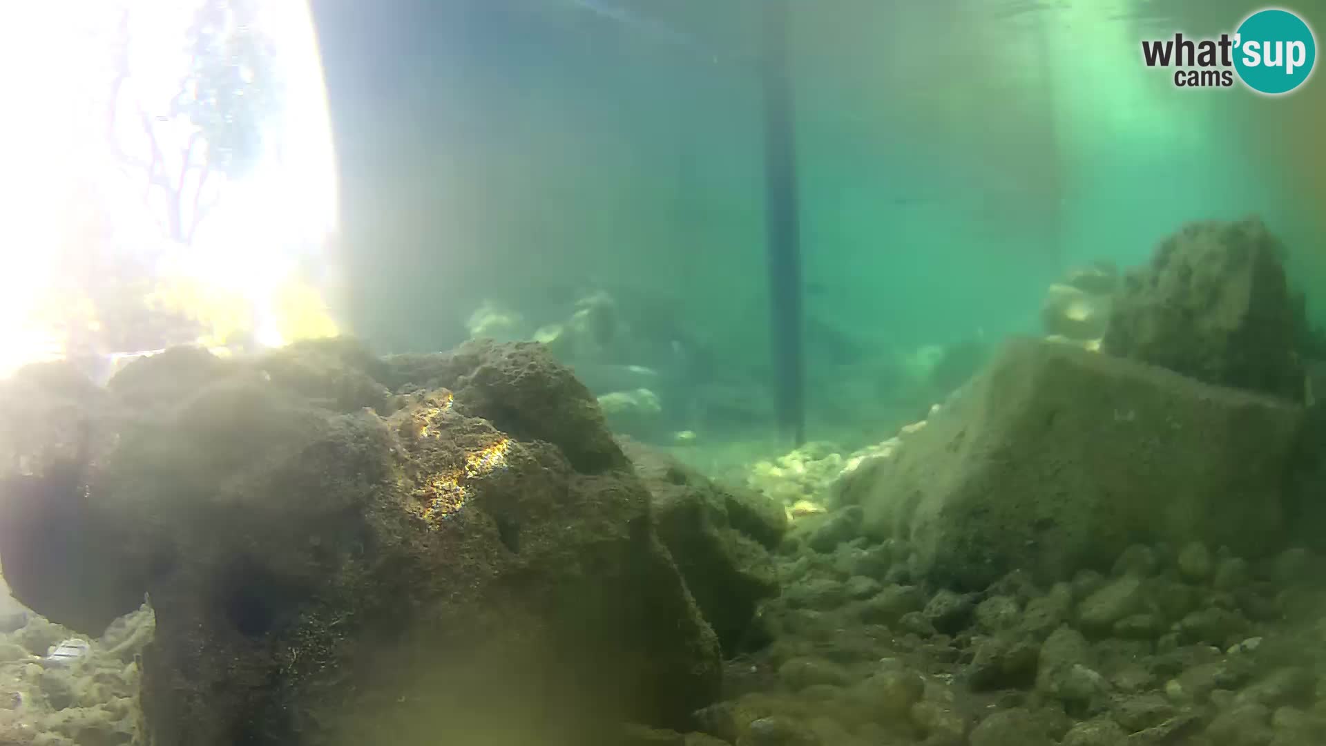 Outdoor Marine Aquarium Rogoznica webcam Croatia
