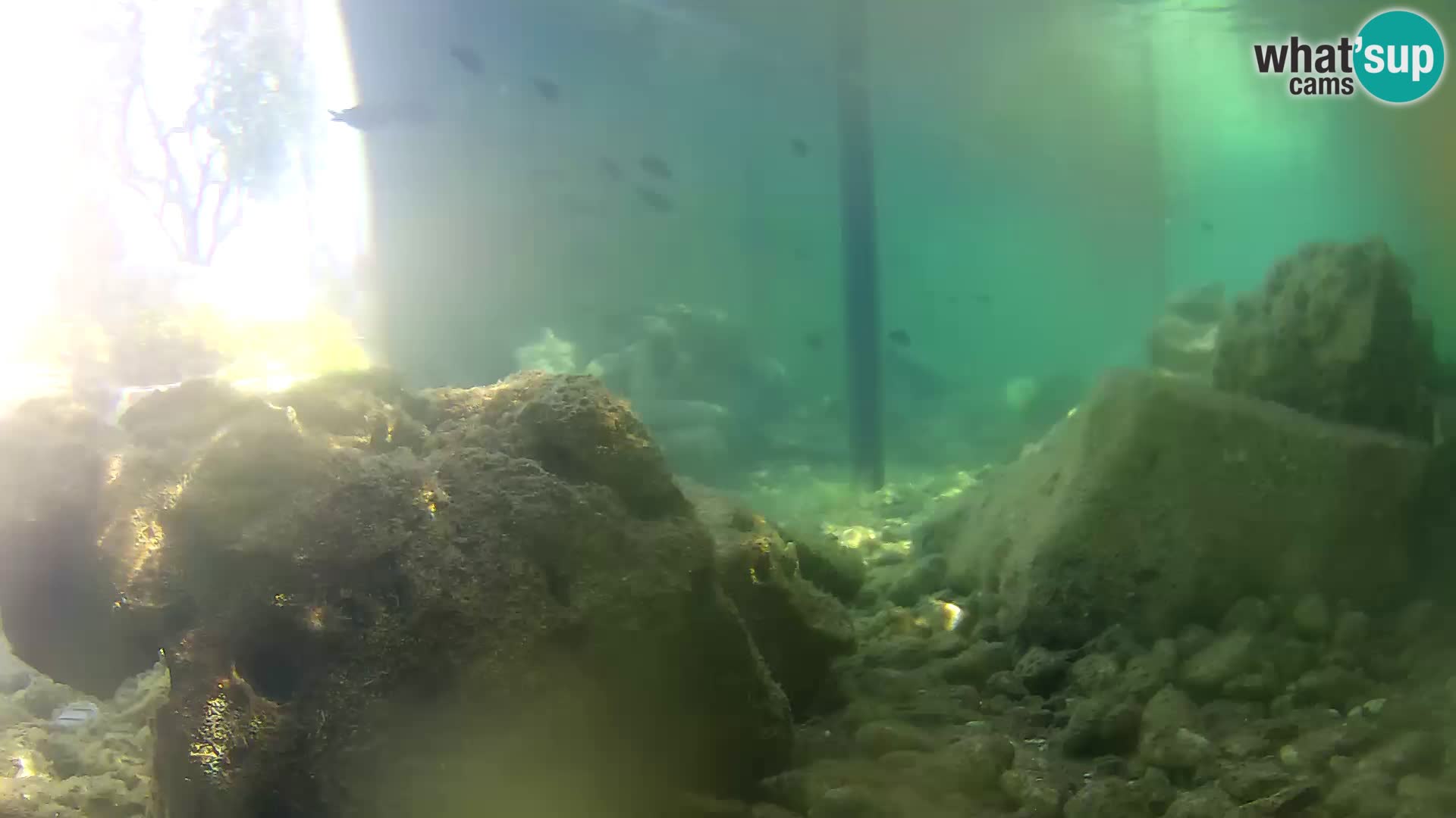 Outdoor Marine Aquarium Rogoznica webcam Croatia