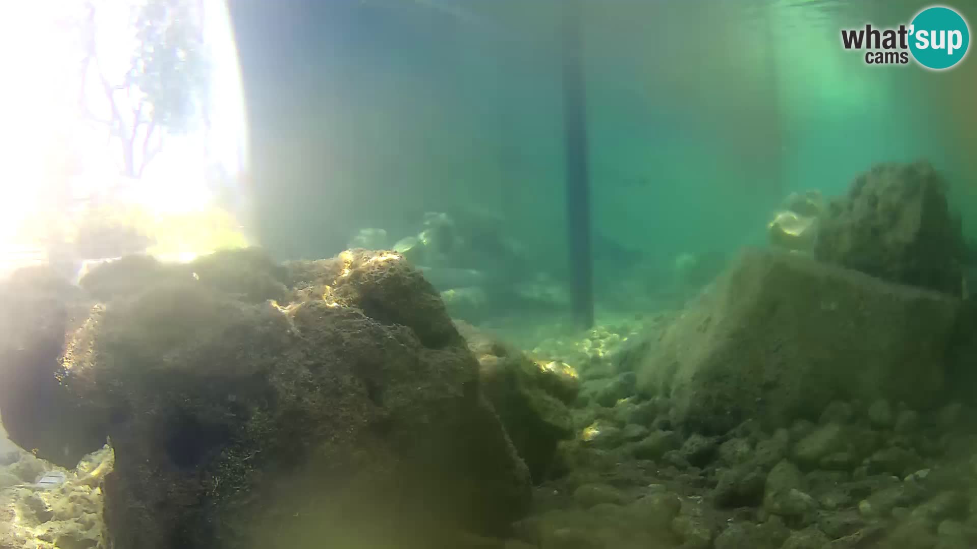 Aquario marino esterno –  Rogoznica livecam Croazia