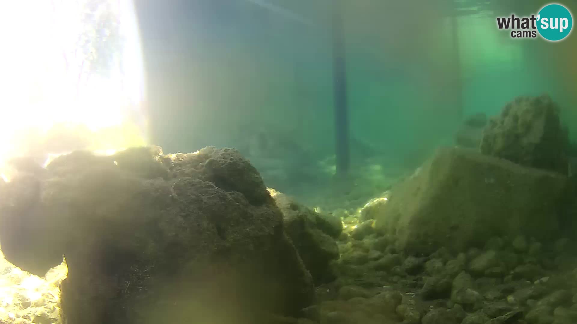 Marine Aquarium im Freien Rogoznica webcam Kroatien