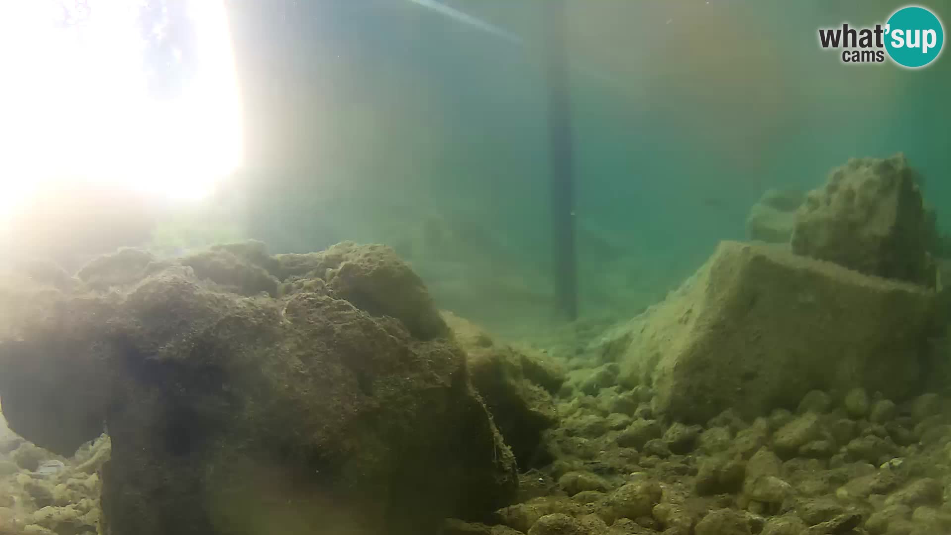Marine Aquarium im Freien Rogoznica webcam Kroatien