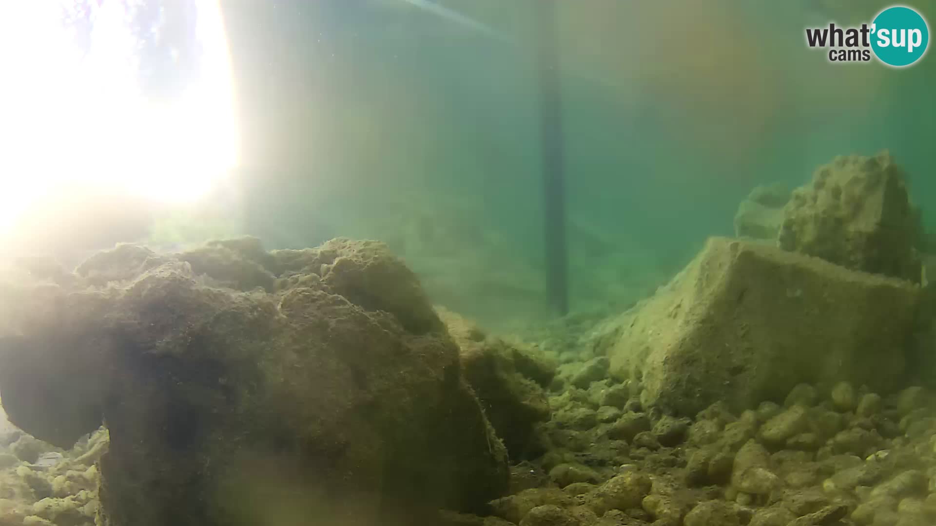 Marine Aquarium im Freien Rogoznica webcam Kroatien