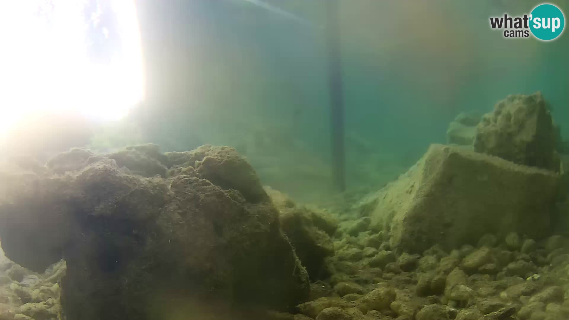Aquario marino esterno –  Rogoznica livecam Croazia