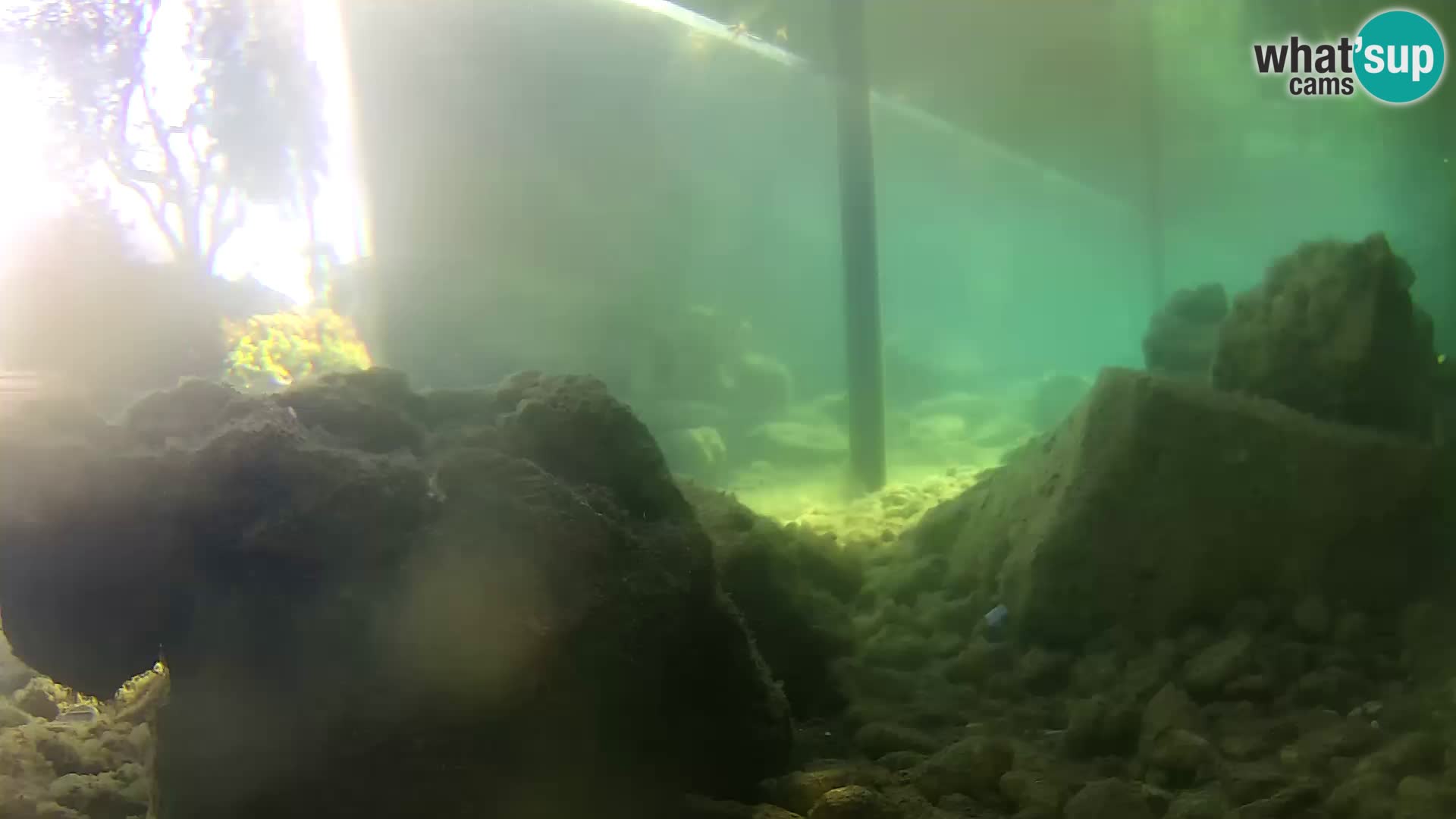Outdoor Marine Aquarium Rogoznica webcam Croatia