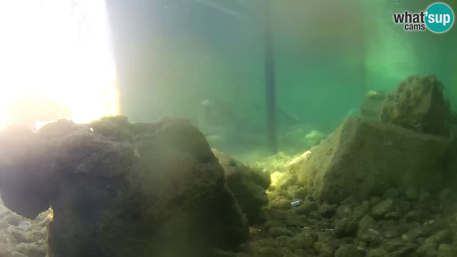 Outdoor Marine Aquarium Rogoznica webcam Croatia