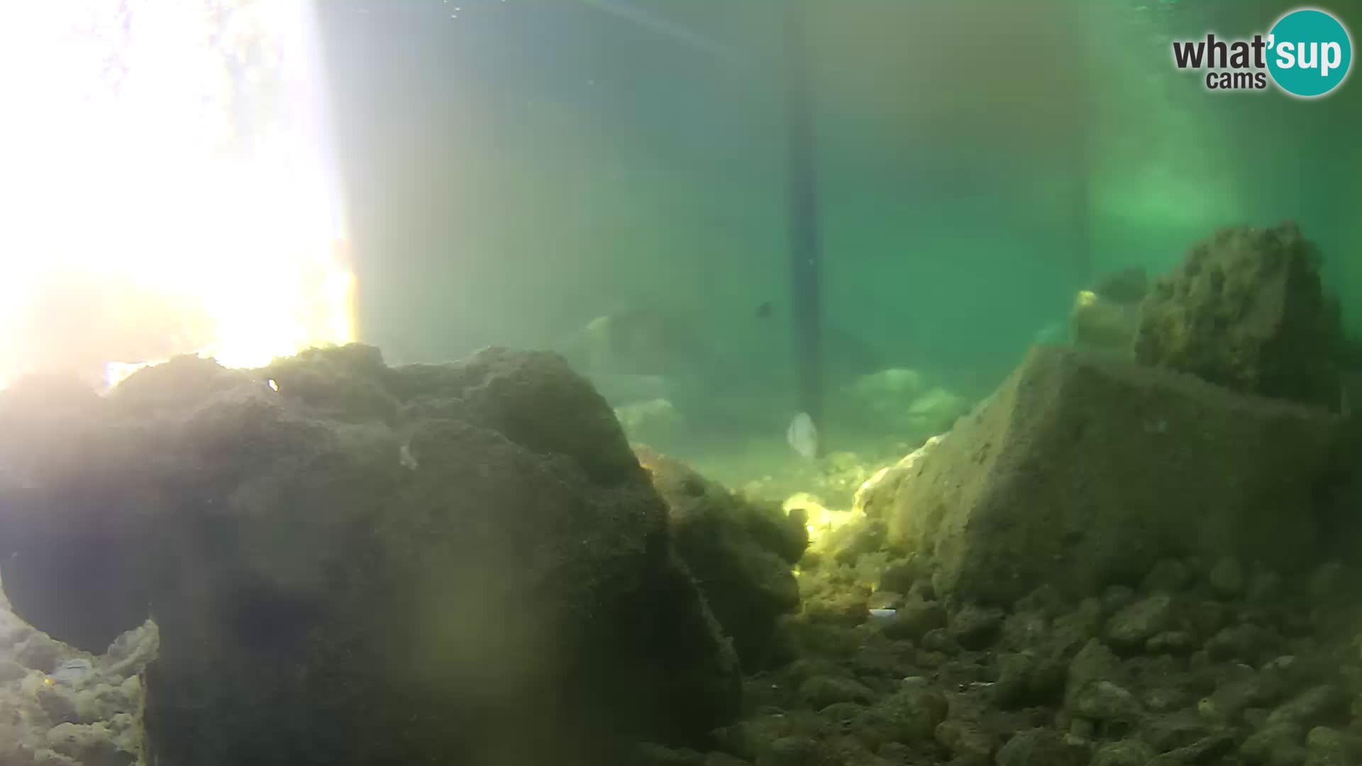 Marine Aquarium im Freien Rogoznica webcam Kroatien