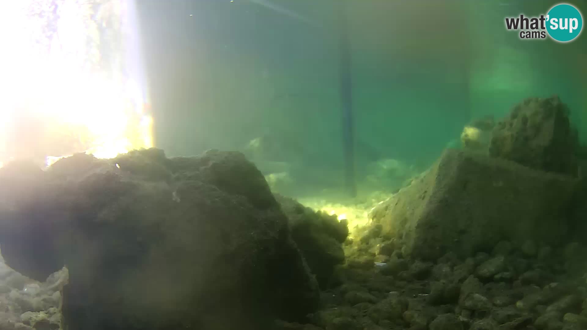 Marine Aquarium im Freien Rogoznica webcam Kroatien