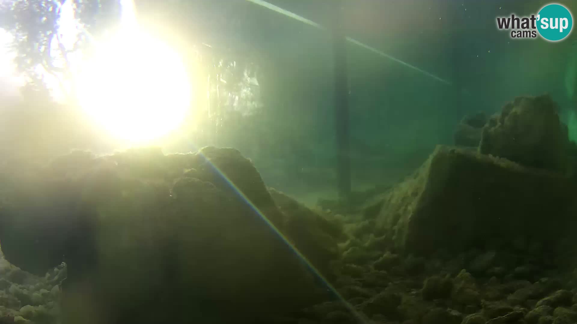Marine Aquarium im Freien Rogoznica webcam Kroatien