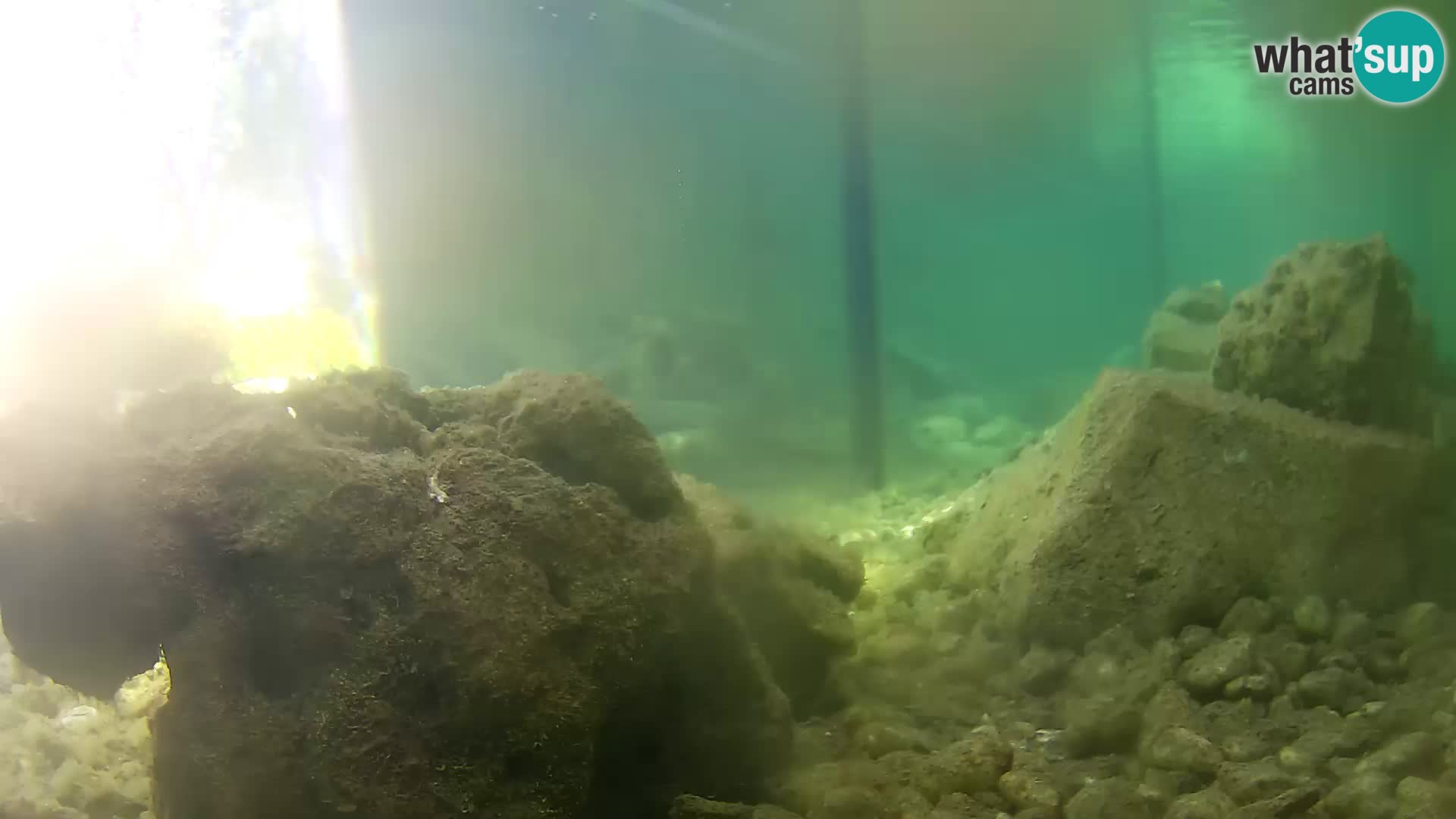 Marine Aquarium im Freien Rogoznica webcam Kroatien
