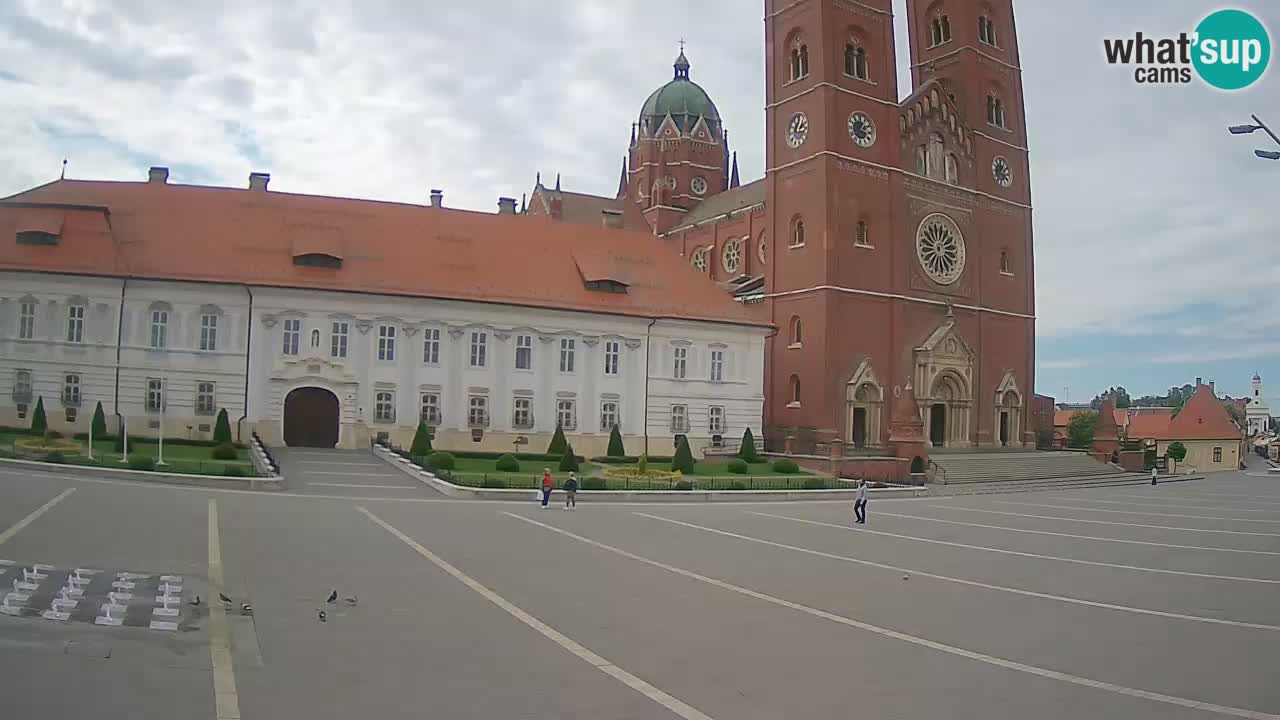 Camera en vivo Đakovo Catedral Sv. Petra