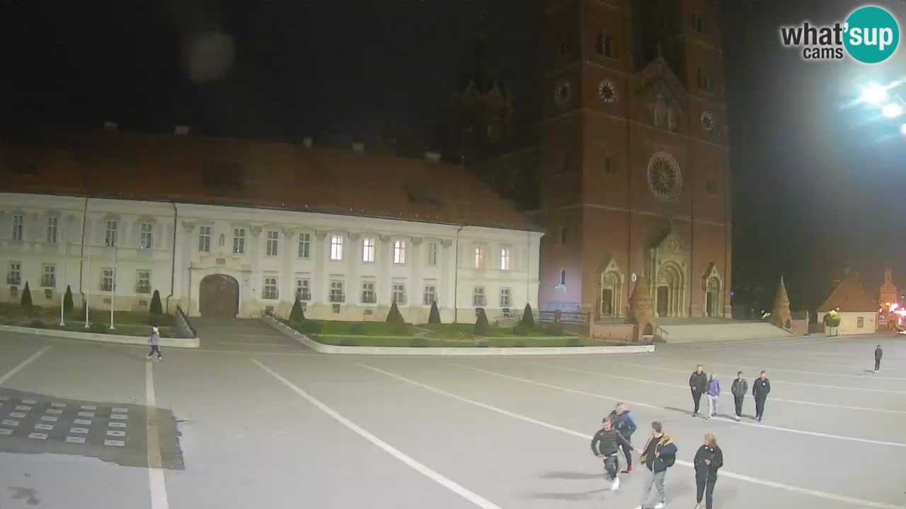 Camera en vivo Đakovo Catedral Sv. Petra