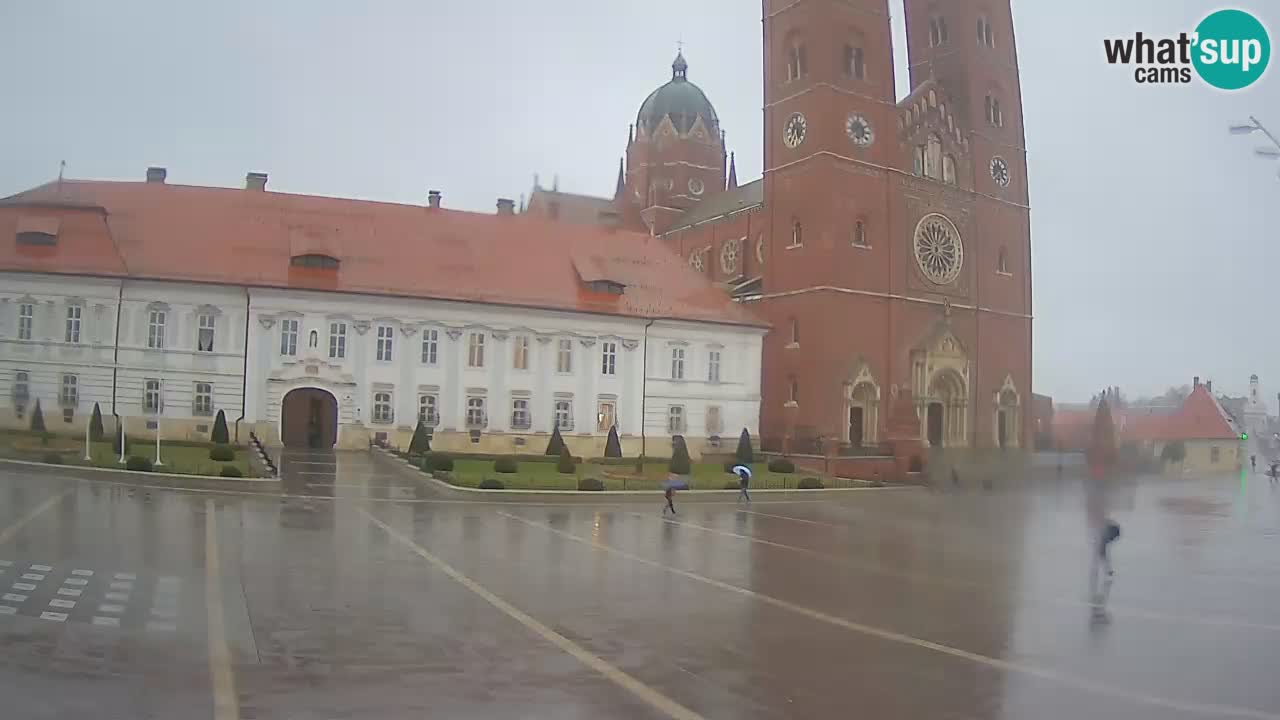 Camera en vivo Đakovo Catedral Sv. Petra