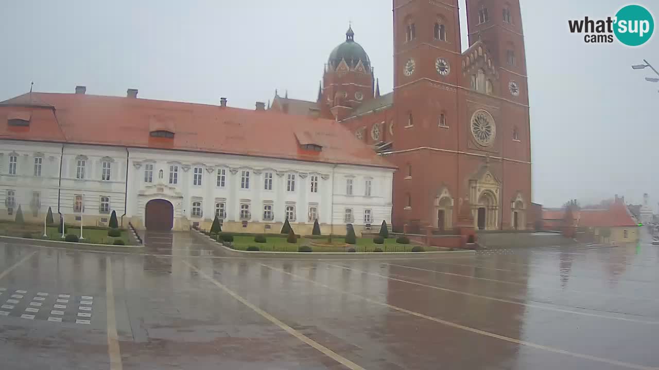 Camera en vivo Đakovo Catedral Sv. Petra