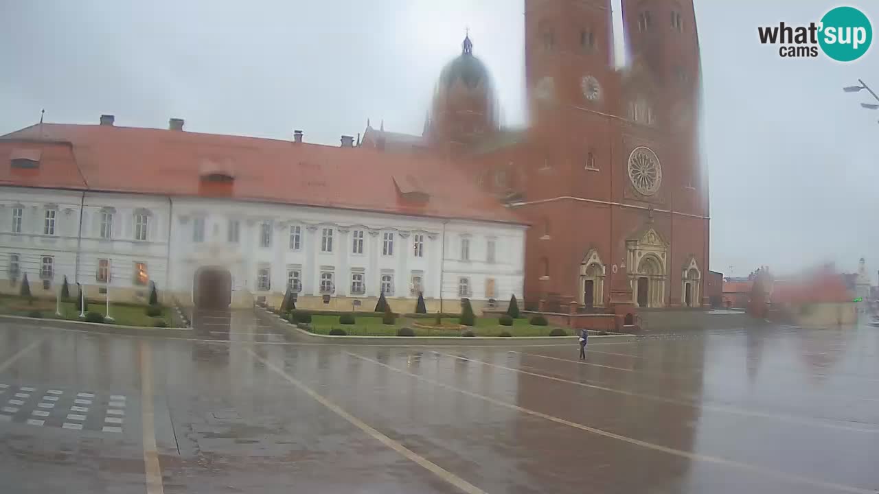 Livecam Đakovo Dom Sv. Petra