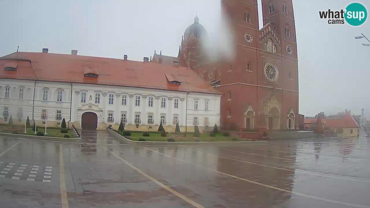 Livecam Đakovo Dom Sv. Petra