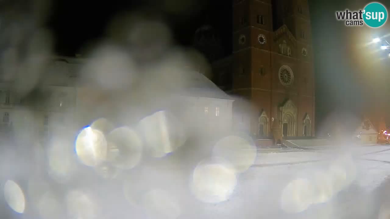 Camera en vivo Đakovo Catedral Sv. Petra