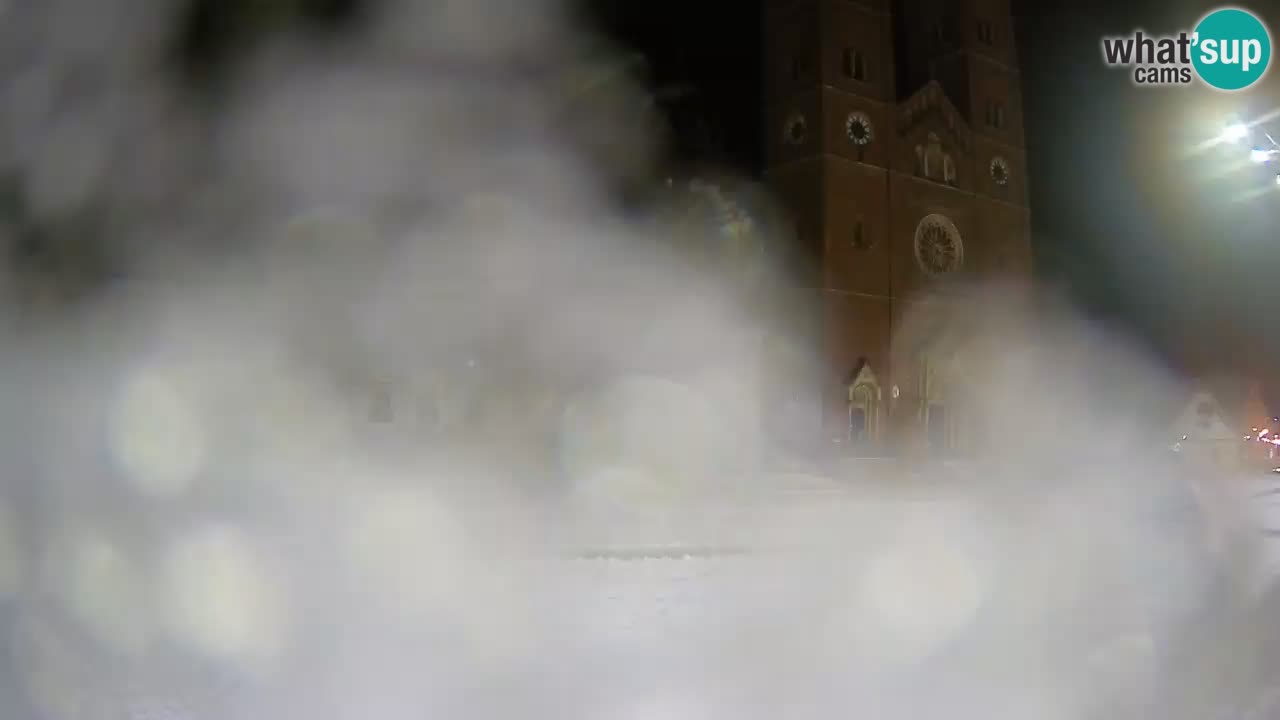 Camera en vivo Đakovo Catedral Sv. Petra