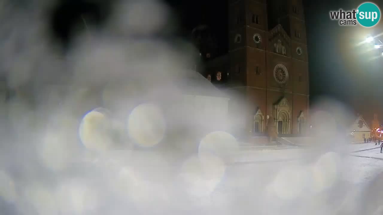 Camera en vivo Đakovo Catedral Sv. Petra