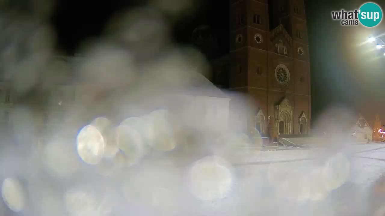 Livecam Đakovo Cattedrale di S. Pietro